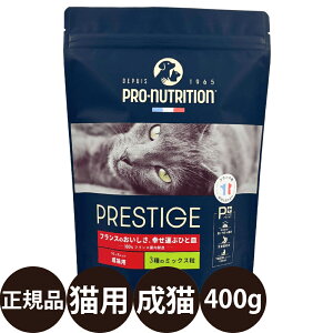 yIōő100%|CgobNIz [ Ki ] [hofB vXeB[W Lp A_g 3̃~bNX 400gm L Lp L S S Y tXY v~Aybgt[h ]