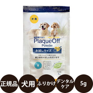 yIōő100%|CgobNIz [ Ki ] vf f^PApE_[ p 5g [ CgnEX ProDen  ӂ肩 Tvg AXRtBmhT VOHCF I[PA Y