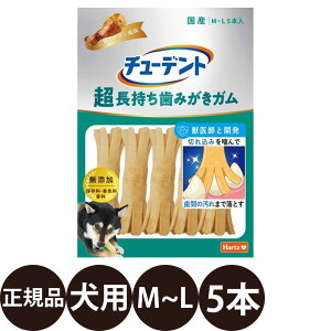 yIōő100%|CgobNIz [ Ki ] n[c `[fg ݂ K M~L 5{ [ n[c Hartz  p Y Y K    [ `L lC ]