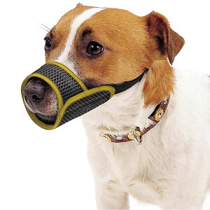 yIōő100%|CgobNIz [ Ki [ ] bV}Y TCY2 [ t@^W[[h ʖih~  U f O[~O ]