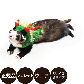[ 正規品 メール便送料無料 ] レインボー ferret ランランハーネスウェア 龍 ( S M ) [ フェレット ハーネスウェア フェレット用ハーネスウェア おでかけ ハーネス タツ 2024年 干支 辰 ]