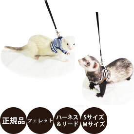 [ 正規品 メール便送料無料 ] レインボー ferret ランランハーネス ボーダー SM (ブルー ブラウン ) [ フェレット ハーネスウェア フェレット用ハーネスウェア おでかけ ハーネス ボーダー柄 オールシーズン ]