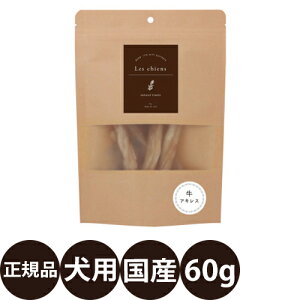 yIōő100%|CgobNIz [ Ki ] VA ALX 60g[  p  XgX  S g[jO ]