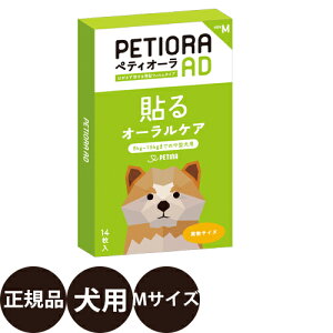 yIōő100%|CgobNIz [Ki] yeBI[ AD MTCY [  p f^PA ɂ΍  S  ]