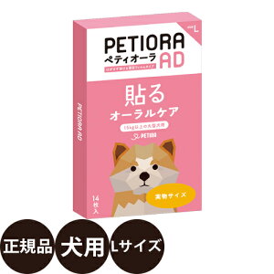 yIōő100%|CgobNIz [Ki] yeBI[ AD LTCY [  p f^PA ɂ΍  S  ]