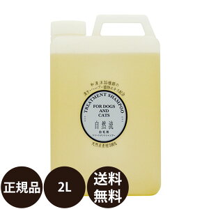 yIōő100%|CgobNIz [ Ki  ] R їpVv[ 2L ƖpTCY