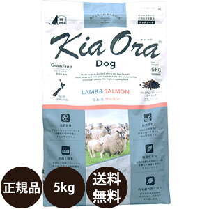 yIōő100%|CgobNIz yܖ:2026/7/4z[ Ki  ܂t ] LAI hbOt[h T[ 5kg [ bhn[g kiaora  T[ j[W[h  