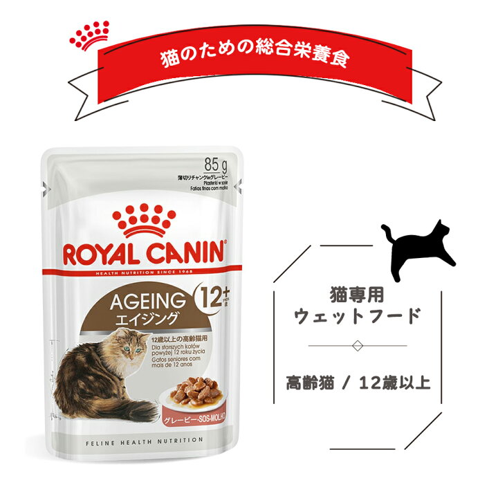 楽天市場】【本日！抽選で最大100%ポイントバック！】 【賞味期限:2026 