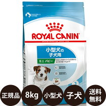 楽天市場】ロイヤルカナン ミニパピー 8kgの通販