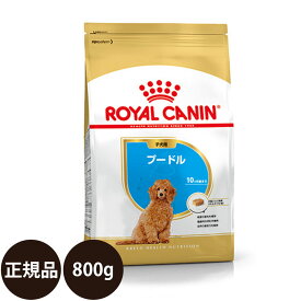 【賞味期限:2025/4/23】[ あす楽 正規品 送料無料 ] ロイヤルカナン プードル 子犬用 800g [ ROYAL CANIN ロイヤルかなん BREED ブリード ヘルス ニュートリション 犬 犬用 子犬 ドライフード 10ヵ月齢まで ]