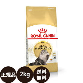 楽天市場 チンチラ ペルシャ 猫の通販
