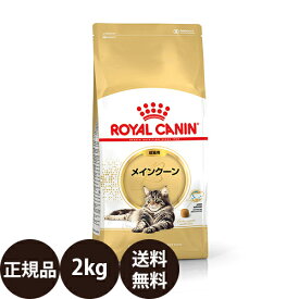 [ 正規品 送料無料 ] ロイヤルカナン メインクーン成猫用 2kg [ royalcanin ロイヤルかなん FBN フィーライン ブリード ニュートリション ]