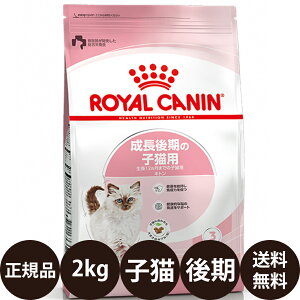 yIōő100%|CgobNIz yܖ:2026/12/15z[ Ki  ] CJi Lg 2kg [ FHN ̎qLp qL L Lbgt[h hC tB[C wX j[