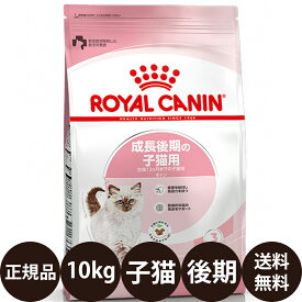 【抽選で最大100%ポイントバック！】 【賞味期限:2026/12/22】[ 正規品 送料無料 ] ロイヤルカナン キトン 10kg [ FHN 成長後期の子猫用 子猫 猫 キャットフード ドライ フィーライン ヘルス ニュートリション ROYAL CANIN ロイヤルかなん プレミアムフード ]