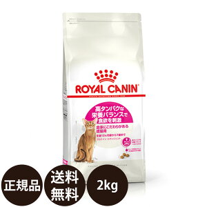 yIōő100%|CgobNIz yܖ:2026/11/20z[ Ki  ] CJi veCGNVWFg 2kg [ CȂ tB[C wX j[gV ^