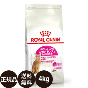 yIōő100%|CgobNIz yܖ:2026/11/20z[ Ki  ] CJi veCGNVWFg 4kg [ CȂ tB[C wX j[gV ^