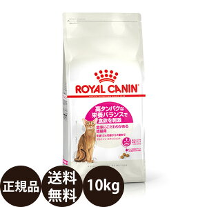 yIōő100%|CgobNIz yܖ:2026/10/19z[ Ki  ] CJi veCGNVWFg 10kg [ CȂ tB[C wX j[gV ^