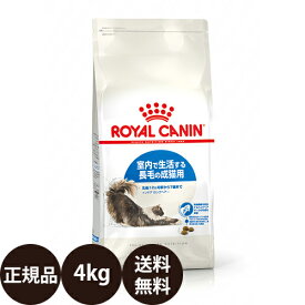【賞味期限:2027/3/6】[ 正規品 送料無料 ] ロイヤルカナン インドア ロングヘアー 4kg [ royalcanin ロイヤルかなん FHN フィーライン ヘルス ニュートリション ]