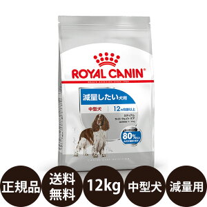 yIōő100%|CgobNIz yܖ:2026/7/1z[ Ki  ] CJi ~fBACgEFCg PA 12kg [ ROYAL CANIN CȂ CJi P[iCPAj[