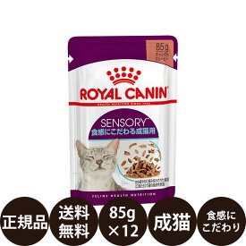 【賞味期限:2027/4/9】[ 正規品 送料無料 ] ロイヤルカナン FHN-WET センサリー フィール 85g×12個 [ ロイヤルかなん ロイカナ フィーラインヘルスニュートリション 食感にこだわる成猫用 グレービー ]