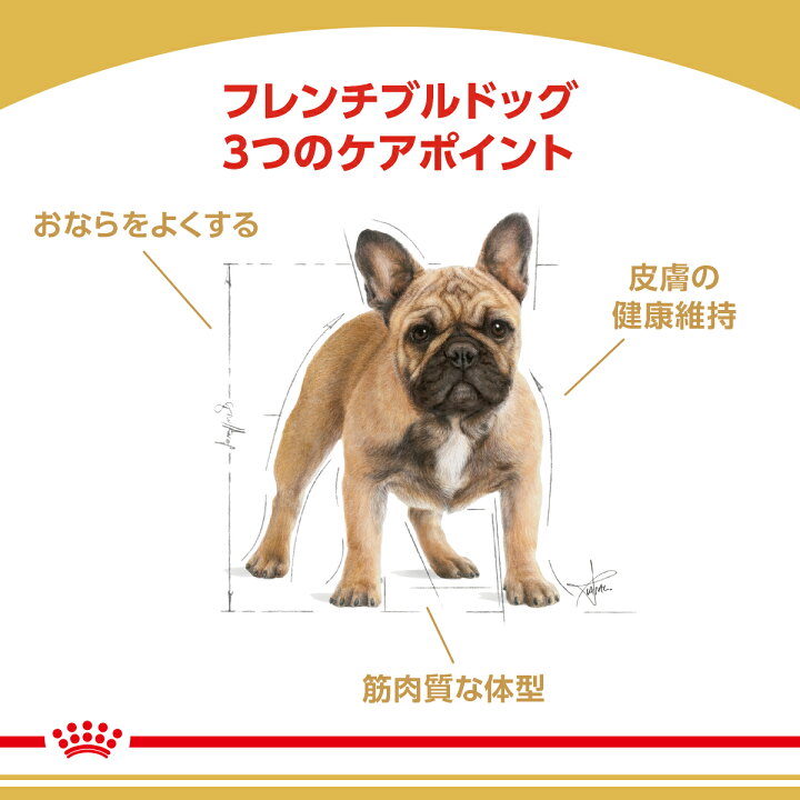 新品 ロイヤルカナン フレンチブルドッグ 9kg ロイヤルカナン フレンチ 