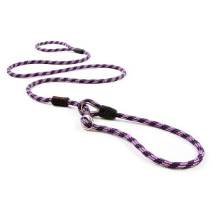 yIōő100%|CgobNIz EZYDOG J[h (ubNAbhAp[vAIW) yC[W[hbOz