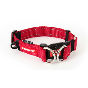 yIōő100%|CgobNIz [ Ki ] EZYDOG _ubNJ[ S ( ubN bh O[J sN ) [ V C[W[hbO   v ^ ˑf TCY ]