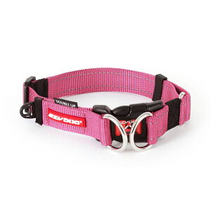 yIōő100%|CgobNIz [ Ki ] EZYDOG _ubNJ[ S ( ubN bh O[J sN ) [ V C[W[hbO   v ^ ˑf TCY ]