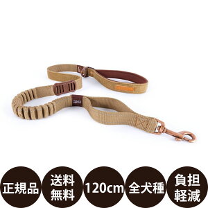 yIōő100%|CgobNIz [ Ki  ] EZYDOG [VbN 120cm R[fC [ C[W[hbO V  [h v Ռz ˍ ^ ^ ^ gtB