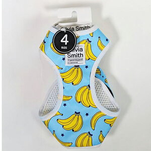 yIōő100%|CgobNIz [ Ki ] [h IrAX~X xXgn[lX 4 [  p IrAX~X n[lX  v ]