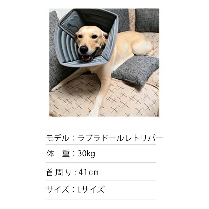 楽天市場 あす楽対応 エリザベスカラー 大型犬 ソフト エリカラ 犬 大型犬 中型犬 用 ソフトタイプエリザベスカラー 手術 怪我 術後 の傷口保護 犬服の専門店 Pet Find