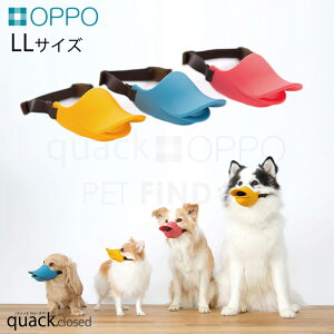OPPO Ib| quack Ki closed NAbNN[Yh eg AqHւɌȂ OS̃N[Y`Œܐ؂Vv[ɂ֗ LLTCY