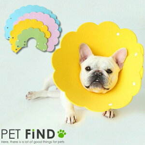 PET FiND yʃGUxXJ[ GJ \tg _ e͐ NbV ɋ OTCY ȒP 炩ȑfނŃXgXy  L 4J[ XSESEMELTCY