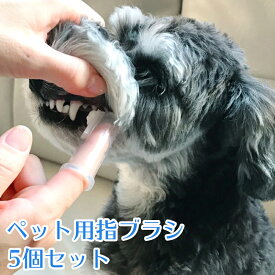 楽天市場 犬 入れ歯の通販 楽天市場 犬 入れ歯の通販