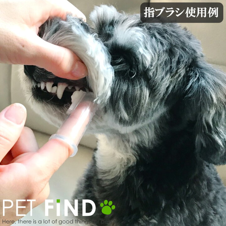 楽天市場】犬 猫 サプリメント ラクトテウス日本製 犬猫用 サプリメント ラクトテウス 猫・犬用口腔内の清浄化サプリメント : 犬服の専門店 PET FiND 楽天市場】犬 猫 サプリメント ラクトテウス日本製 犬猫用 サプリメント ラクトテウス 猫・犬用口腔内の清浄化サプリメント : 犬服の専門店 PET FiND