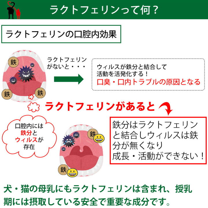 楽天市場】犬 猫 サプリメント ラクトテウス日本製 犬猫用 サプリメント ラクトテウス 猫・犬用口腔内の清浄化サプリメント : 犬服の専門店 PET FiND 楽天市場】犬 猫 サプリメント ラクトテウス日本製 犬猫用 サプリメント ラクトテウス 猫・犬用口腔内の清浄化サプリメント : 犬服の専門店 PET FiND