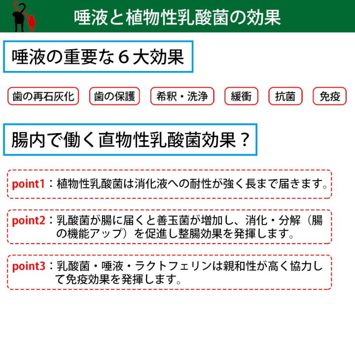 楽天市場】犬 猫 サプリメント ラクトテウス日本製 犬猫用 サプリメント ラクトテウス 猫・犬用口腔内の清浄化サプリメント : 犬服の専門店 PET FiND 楽天市場】犬 猫 サプリメント ラクトテウス日本製 犬猫用 サプリメント ラクトテウス 猫・犬用口腔内の清浄化サプリメント : 犬服の専門店 PET FiND