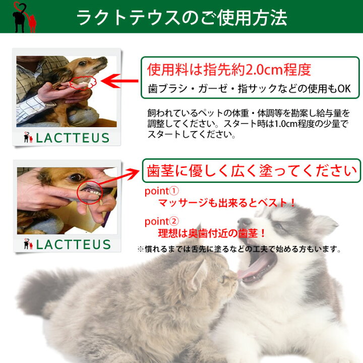 楽天市場】犬 猫 サプリメント ラクトテウス日本製 犬猫用 サプリメント ラクトテウス 猫・犬用口腔内の清浄化サプリメント : 犬服の専門店 PET FiND 楽天市場】犬 猫 サプリメント ラクトテウス日本製 犬猫用 サプリメント ラクトテウス 猫・犬用口腔内の清浄化サプリメント : 犬服の専門店 PET FiND