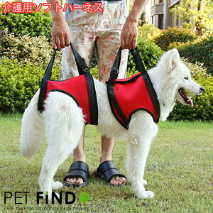 首輪 メッシュ 犬用 ハーネスの人気商品 通販 価格比較 価格 Com 首輪 メッシュ 犬用 ハーネスの人気商品 通販 価格比較 価格 Com