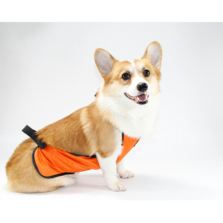 楽天市場 犬服 Petfind ダックスフント コーギー フレンチブルドッグ 犬用 男の子用 女の子用 泥よけエプロン マジックテープ 防水 雨 雪 泥 お出かけ お散歩 雨具 カッパ 小型犬 中型犬 犬服の専門店 Pet Find