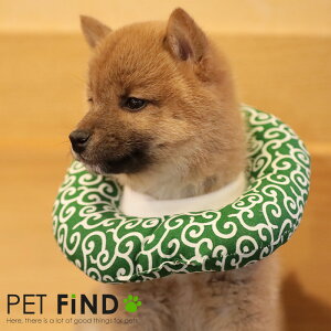  GUxXJ[ ͗l PETFiND GJ ͗l  L p JtGUxXJ[ 킢  \tgNbV^Cv pAAp̏ی