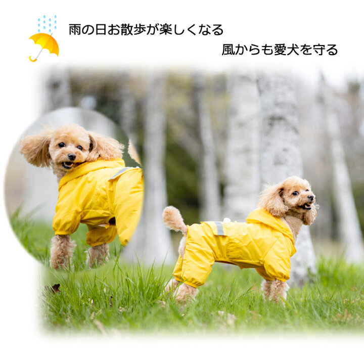 楽天市場 日まで使えるお得なクーポン発行中 犬服 ブランド ドッグウェア 春夏 かわいい Petfind 大人気 犬用 つなぎ レインコート犬服 犬 服 犬の服 梅雨カッパ 小型犬 中型犬 ４カラー ６サイズ おすすめ 犬服の専門店 Pet Find