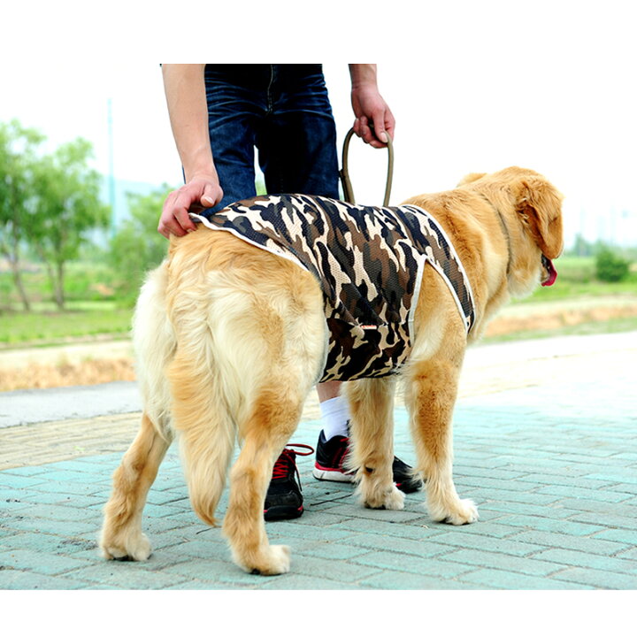 楽天市場】【10%OFFクーポン配布中】犬 服 タンクトップ 大型メッシュ 