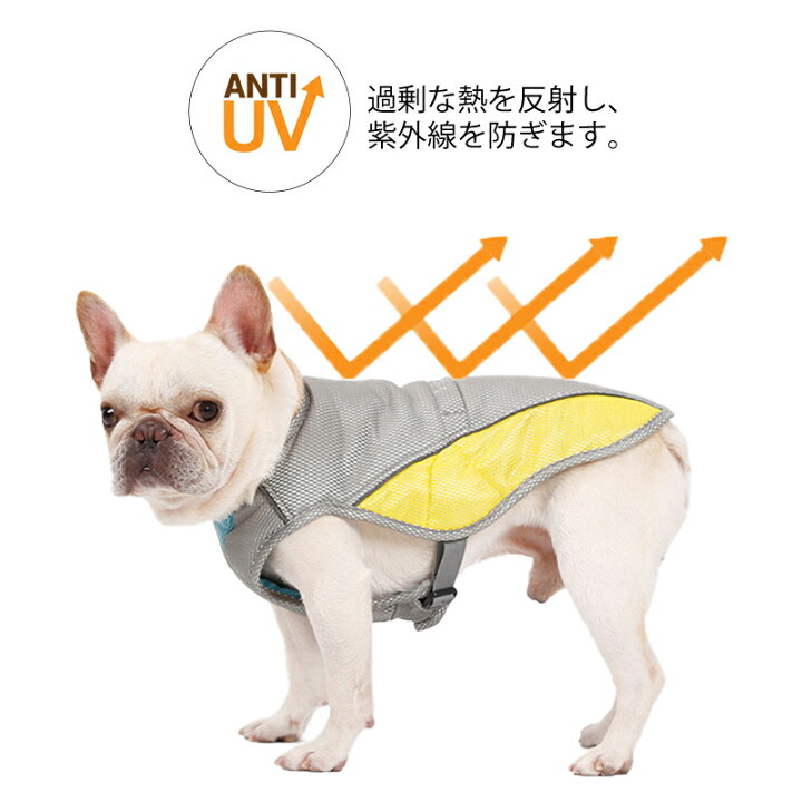 市場 犬服 春夏 Petfind ドッグウェア 犬 スポーツメッシュシャツ