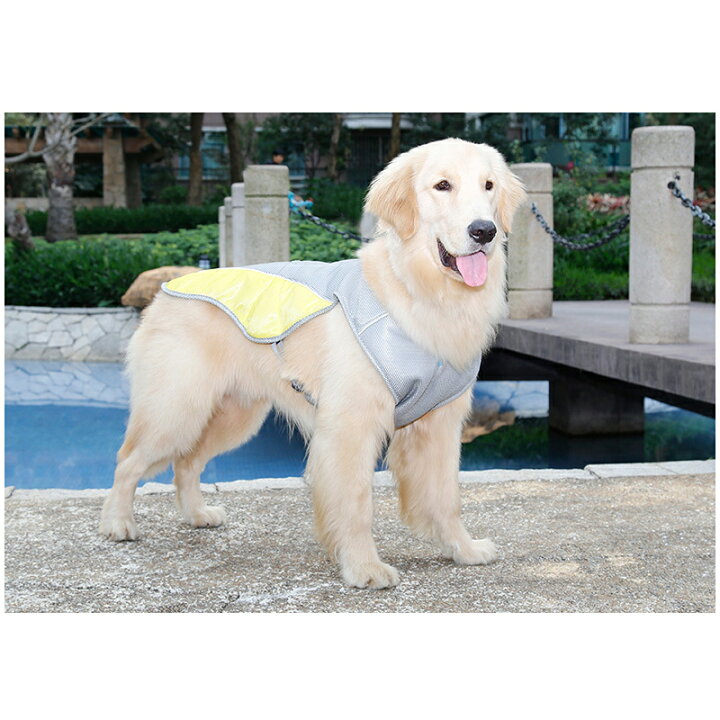 楽天市場 犬服 ドッグウェア 春夏 かわいい 犬 服 濡らして着る クールジャケット 涼しい ひんやり おしゃれ 小型犬 中型犬 大型犬 犬服の専門店 Pet Find