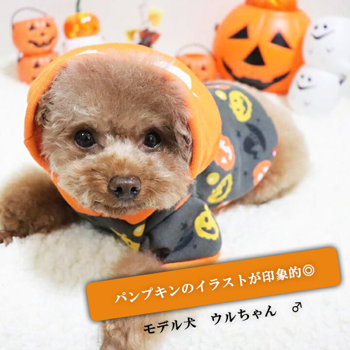 楽天市場 犬服 Petfind かわいい犬 犬の服 秋冬 ハロウィン コスチューム かぼちゃ柄 オバケ柄 フード付き プチプラ 中型犬 仮装 イベント ハロウィーン Halloween 犬服の専門店 Pet Find