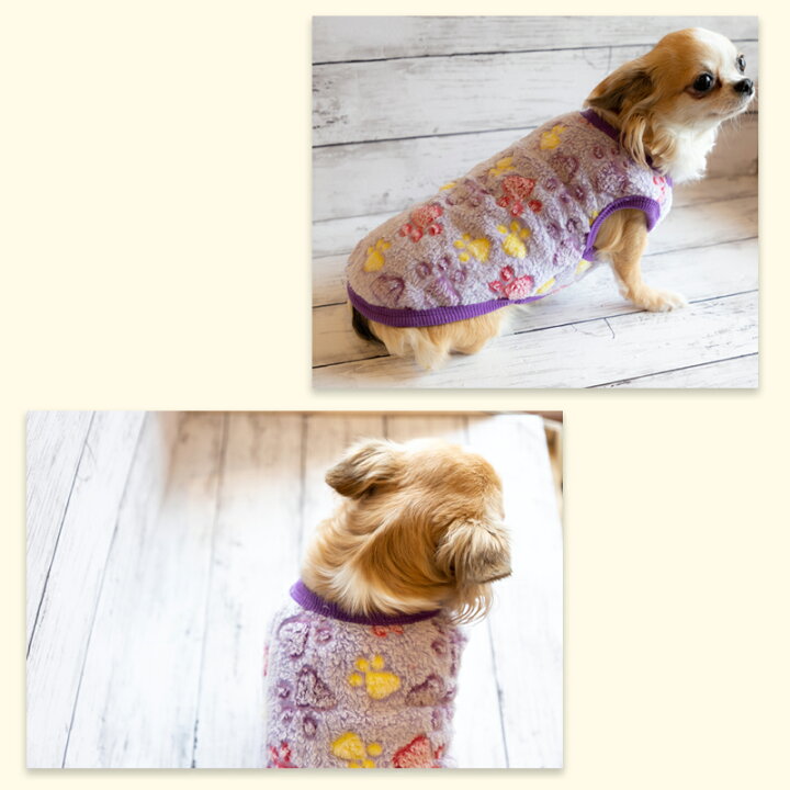 楽天市場】【10%OFFクーポン配布中】犬 服 タンクトップ ポップ柄 