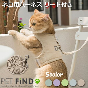 PETFiND   yz L n[lX Lp 5J[n[lX [ht ybg ybgObY Lpi  SDMDLDXLTCY