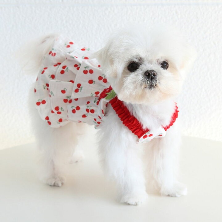 楽天市場】犬 夏服 春夏 さくらんぼ柄キャミワンピ さくらんぼ 犬用 