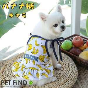  ĕ bV t bVnyt[c L~Vcz pCƃC`Ŝm 5TCY ĕ hbOEFA ̕ ybg  PETFiND